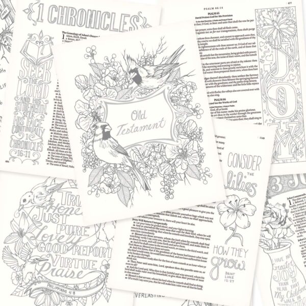 811SOoFV74L My Creative Bible Brown KJV